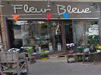 FLEUR BLEUE