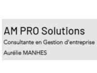 AM PRO SOLUTION