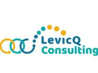 LEVICQ CONSULTING